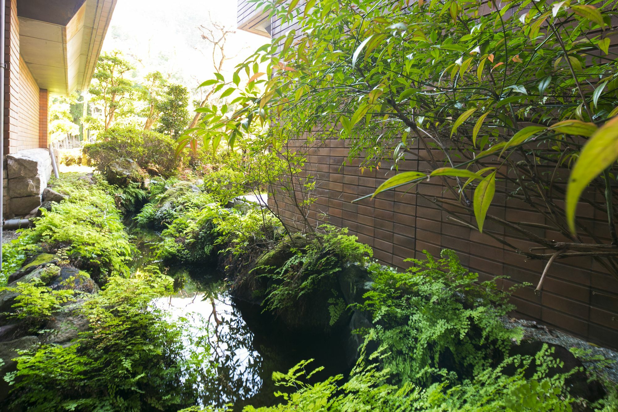 Yunosato Sugina Hotel Yugawara Bagian luar foto